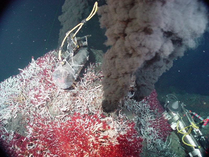 The Sully Vent in the Main Endeavour Vent Field of the northeastern Pacific Ocean. (Credit: NOAA) 