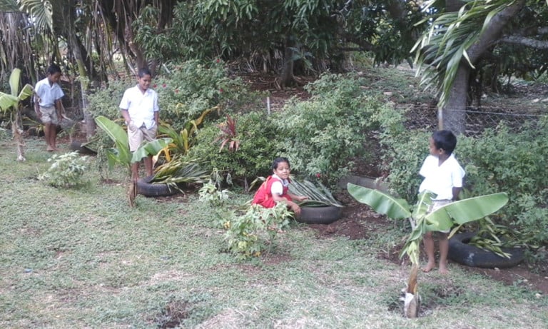 Students showing their newly planted sandalwood trees at the different schools in Vava’u. Photos: TCDT/Nuku’alofa Times