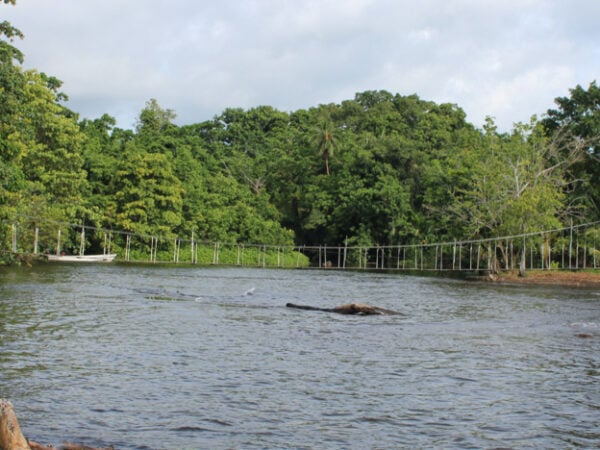 The race to save historic bridge